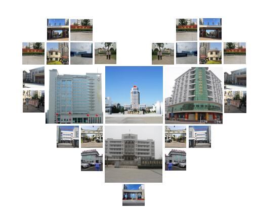 市场业绩